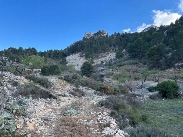 Terreno en camino Llagaria, 6 Poligono