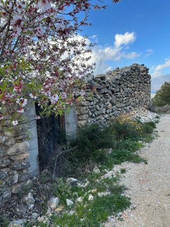 Terreno en camino Llagaria, 6 Poligono