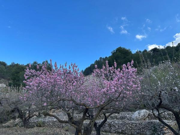 Terreno en camino Llagaria, 6 Poligono