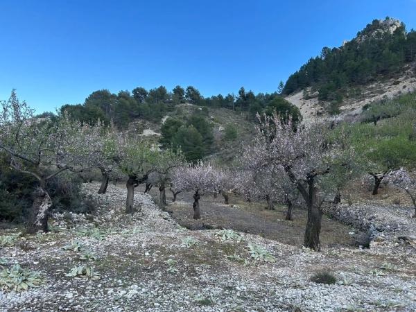 Terreno en camino Llagaria, 6 Poligono