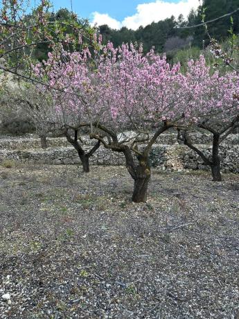 Terreno en camino Llagaria, 6 Poligono
