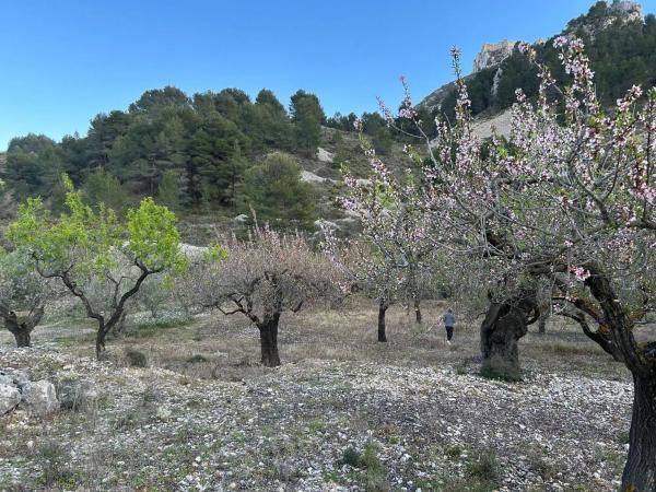 Terreno en camino Llagaria, 6 Poligono