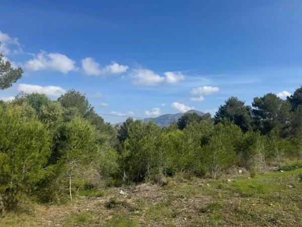 Terreno en calle Jean Genet, 41