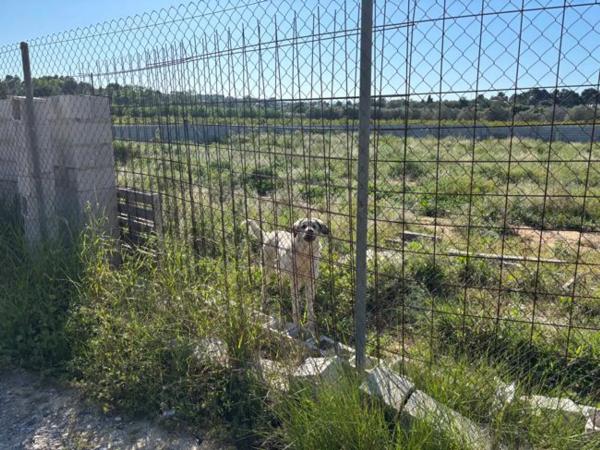 Terreno en Polígono 29