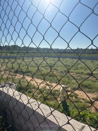 Terreno en Polígono 29