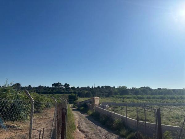 Terreno en Polígono 29