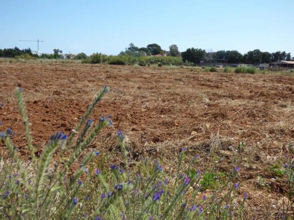 Terreno en La Pedrera-Vessanes