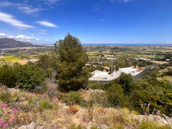 Terreno en avenida del Baix Segura
