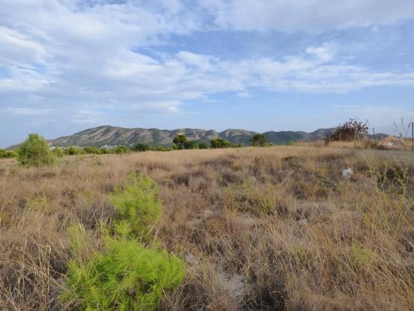 Terreno en Partida Saltet