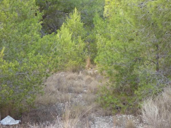 Terreno en Partida Saltet