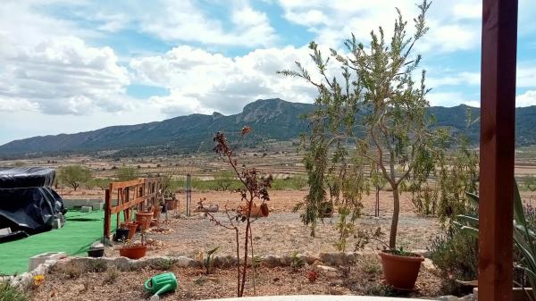 Terreno en algayat, 24 poligono