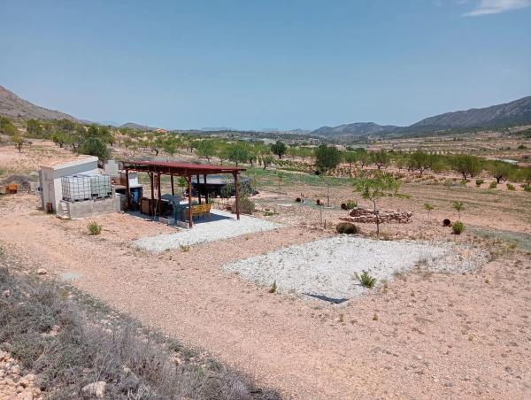 Terreno en algayat, 24 poligono