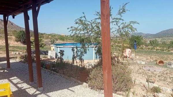 Terreno en algayat, 24 poligono