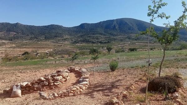Terreno en algayat, 24 poligono