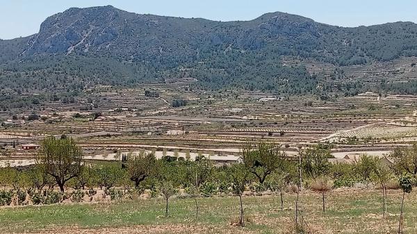 Terreno en algayat, 24 poligono