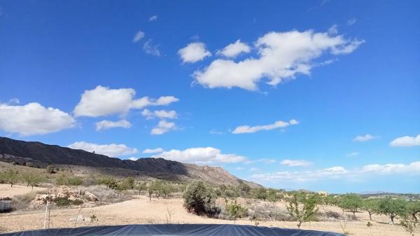 Terreno en algayat, 24 poligono