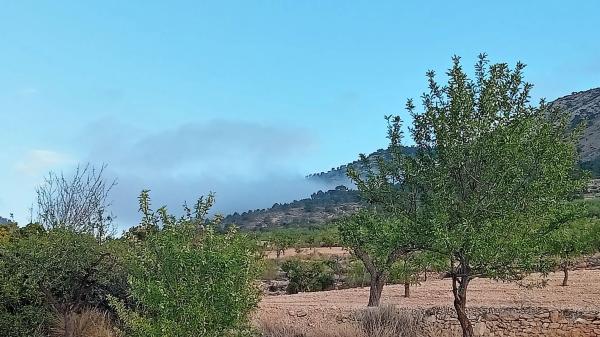 Terreno en algayat, 24 poligono