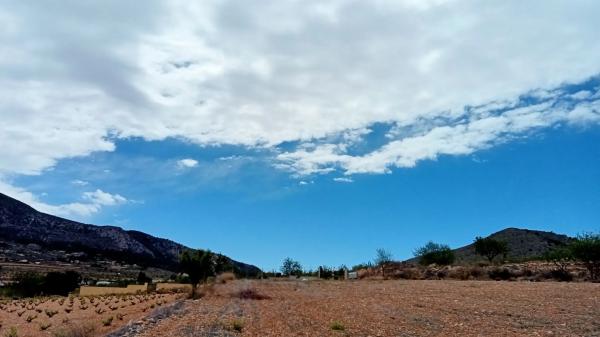 Terreno en algayat, 24 poligono