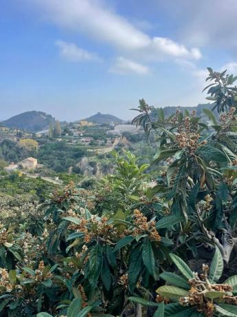 Terreno en calle de Sant Ramon s/n