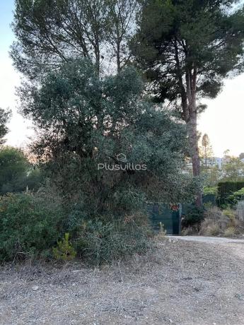 Terreno en calle Murcia