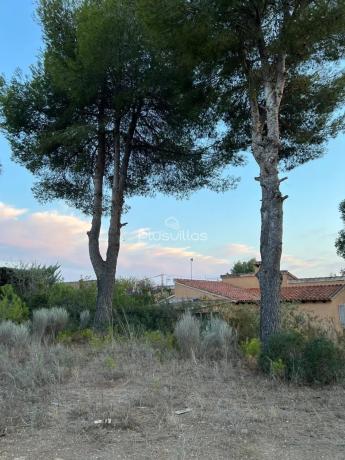 Terreno en calle Murcia