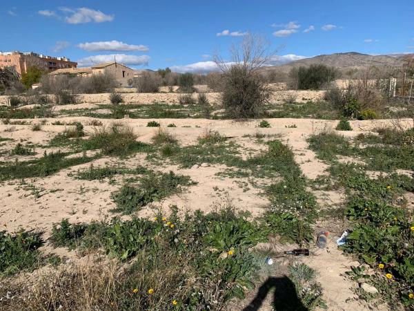 Terreno en calle de l'Almirall Estrada, 1