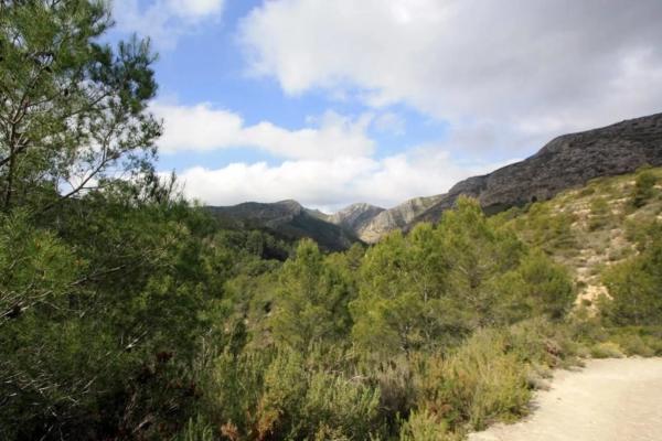 Terreno en Pedreguer