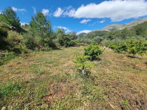 Terreno en Poligono 8, parcela 153 Rio de Orba, 8