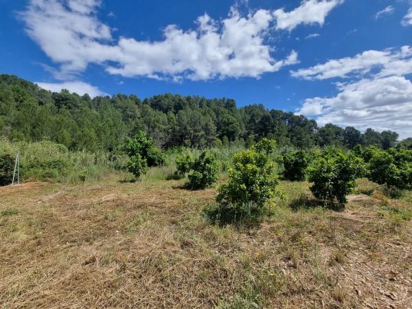 Terreno en Poligono 8, parcela 153 Rio de Orba, 8