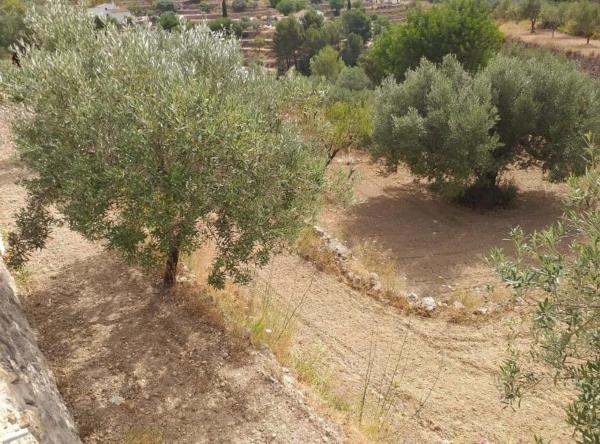 Terreno en Benissa pueblo