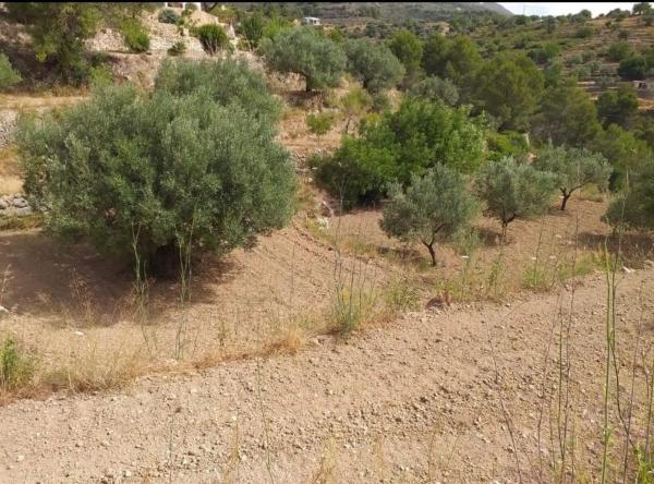 Terreno en Benissa pueblo