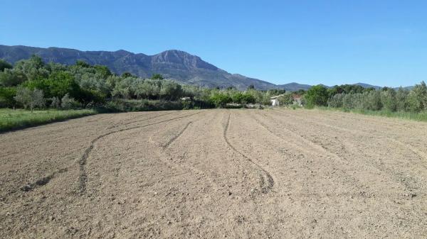 Terreno en Diseminado Diseminados, km 2