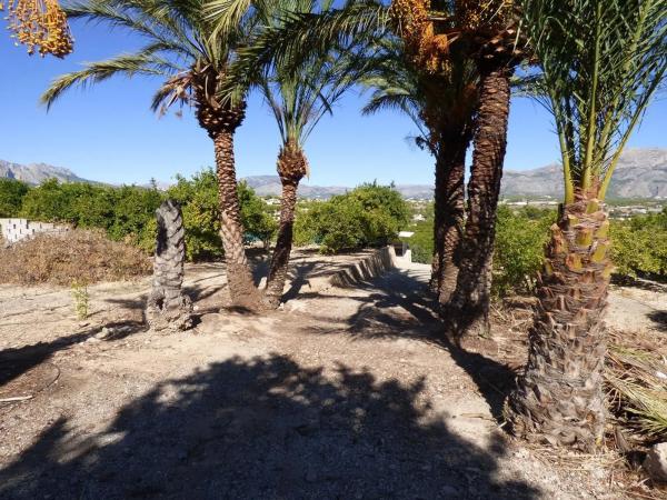 Terreno en Alfaz del Pi Pueblo-Urbanizaciones