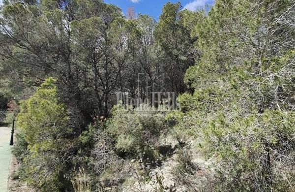 Terreno en calle Principal de la Serra