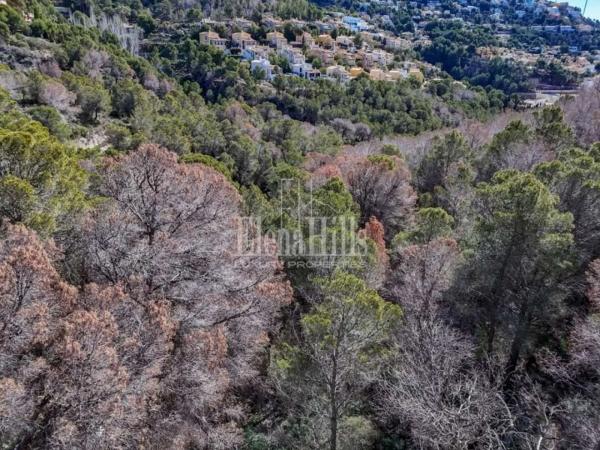 Terreno en calle Principal de la Serra