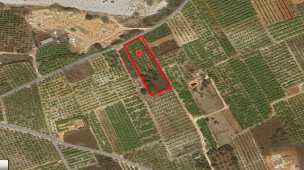 Terreno en Sanet y Negrals