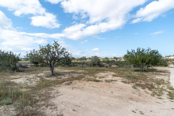 Terreno en Lugar Perleta Poligono 2, 2113