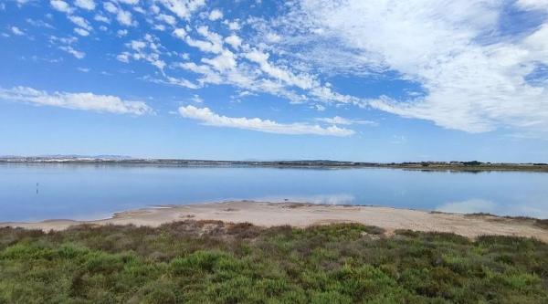 Terreno en calle el Bovalar s/n