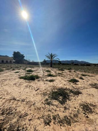 Terreno en Callosa de Segura