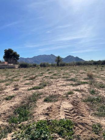 Terreno en Callosa de Segura