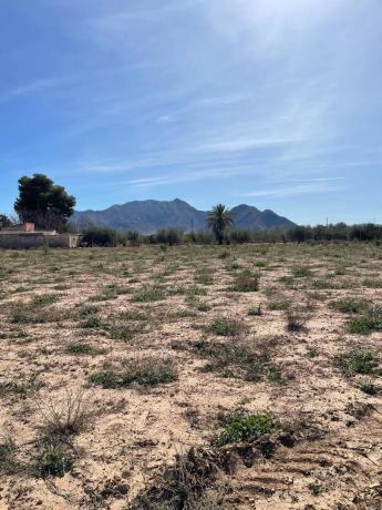 Terreno en Callosa de Segura