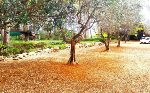 Terreno en calle del Pou, 23