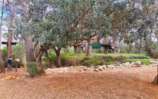 Terreno en calle del Pou, 23