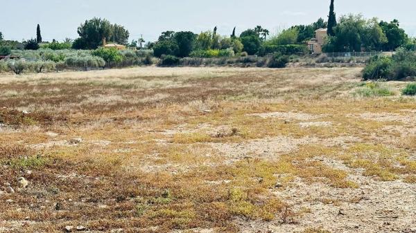 Terreno en Maitino-Perleta