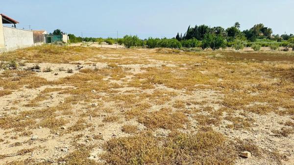 Terreno en Maitino-Perleta