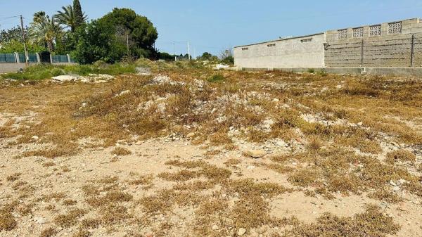 Terreno en Maitino-Perleta