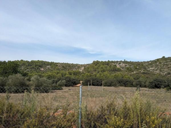 Terreno en Alcalalí