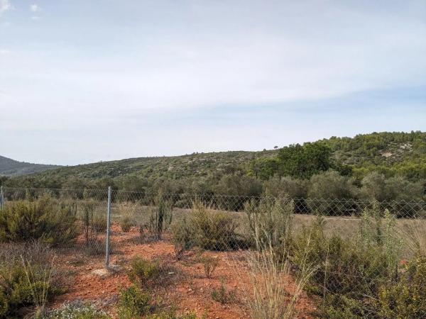 Terreno en Alcalalí