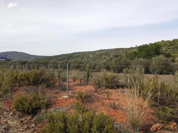 Terreno en Alcalalí