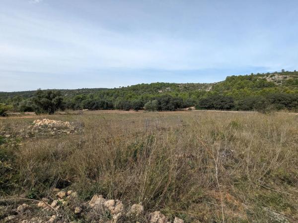 Terreno en Alcalalí